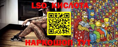 крисы Славянск-на-Кубани