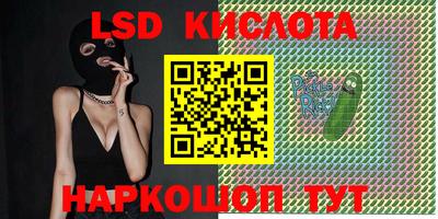 крисы Славянск-на-Кубани